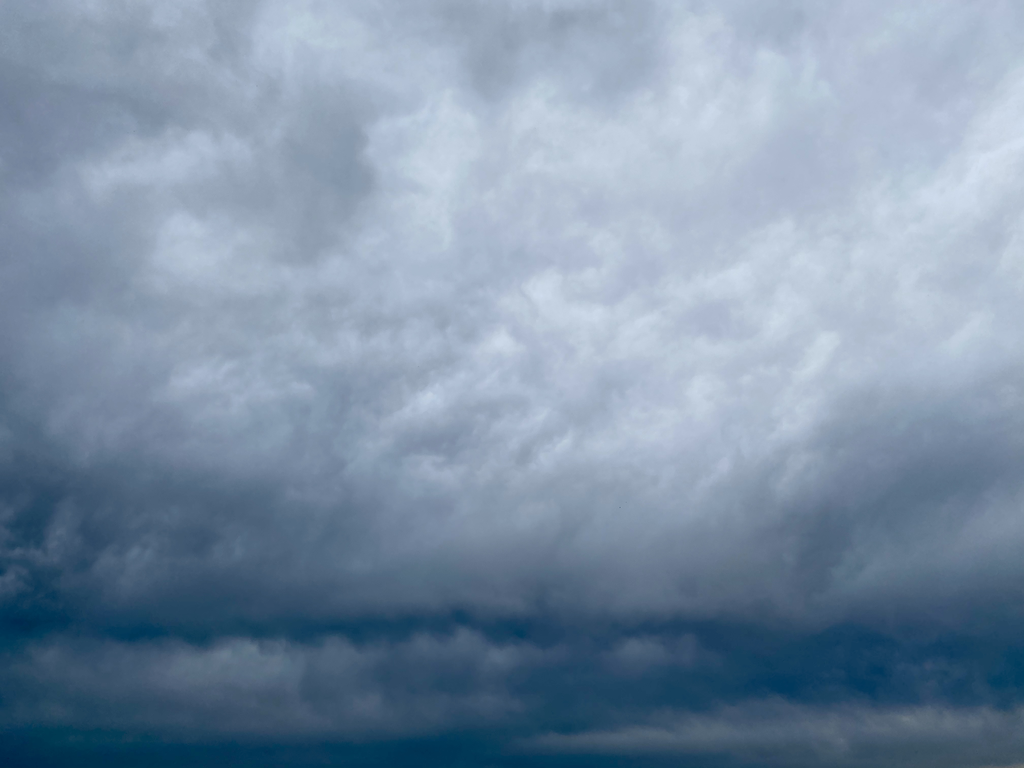 3906C5A5-97D6-4444-8FD4-083B843059C1