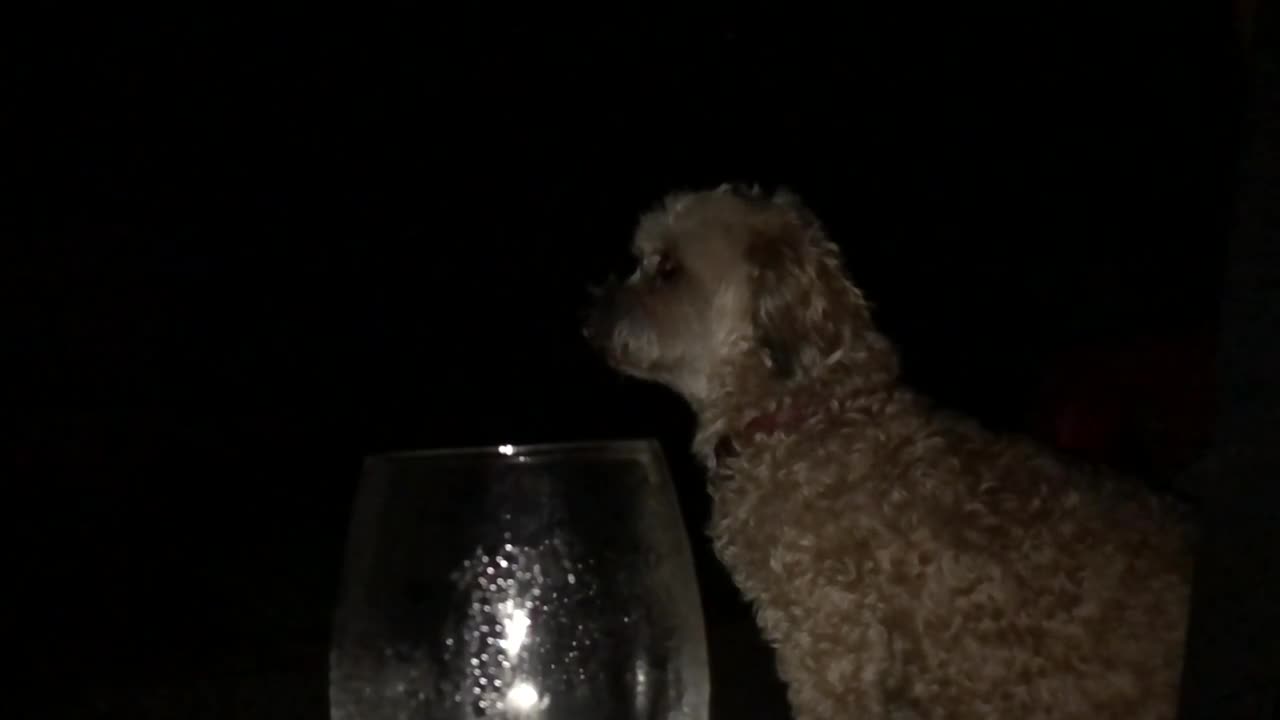 Still #5 From Video #35032