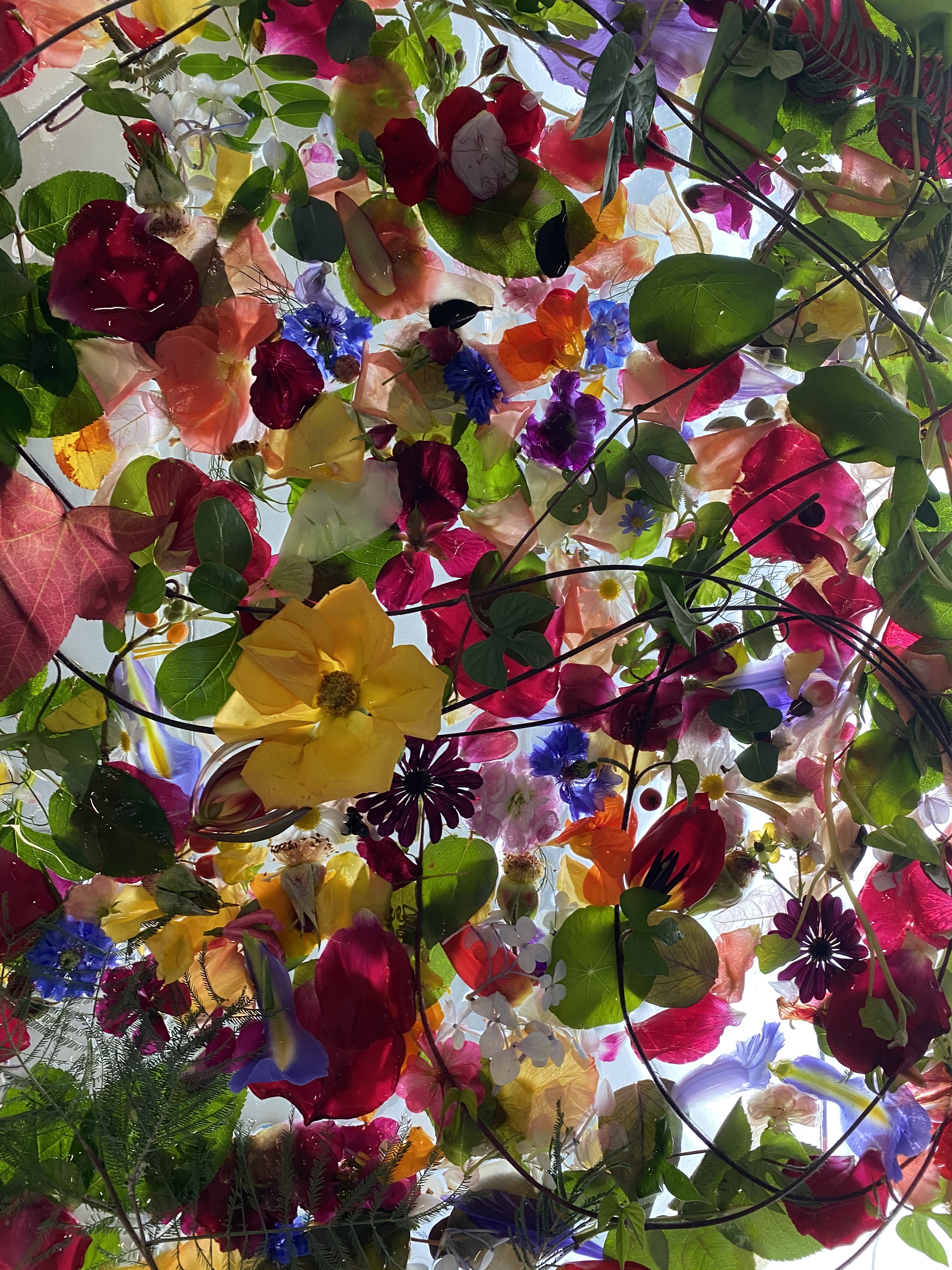 F1E2BD1D-5504-4870-A25E-B2184258D740