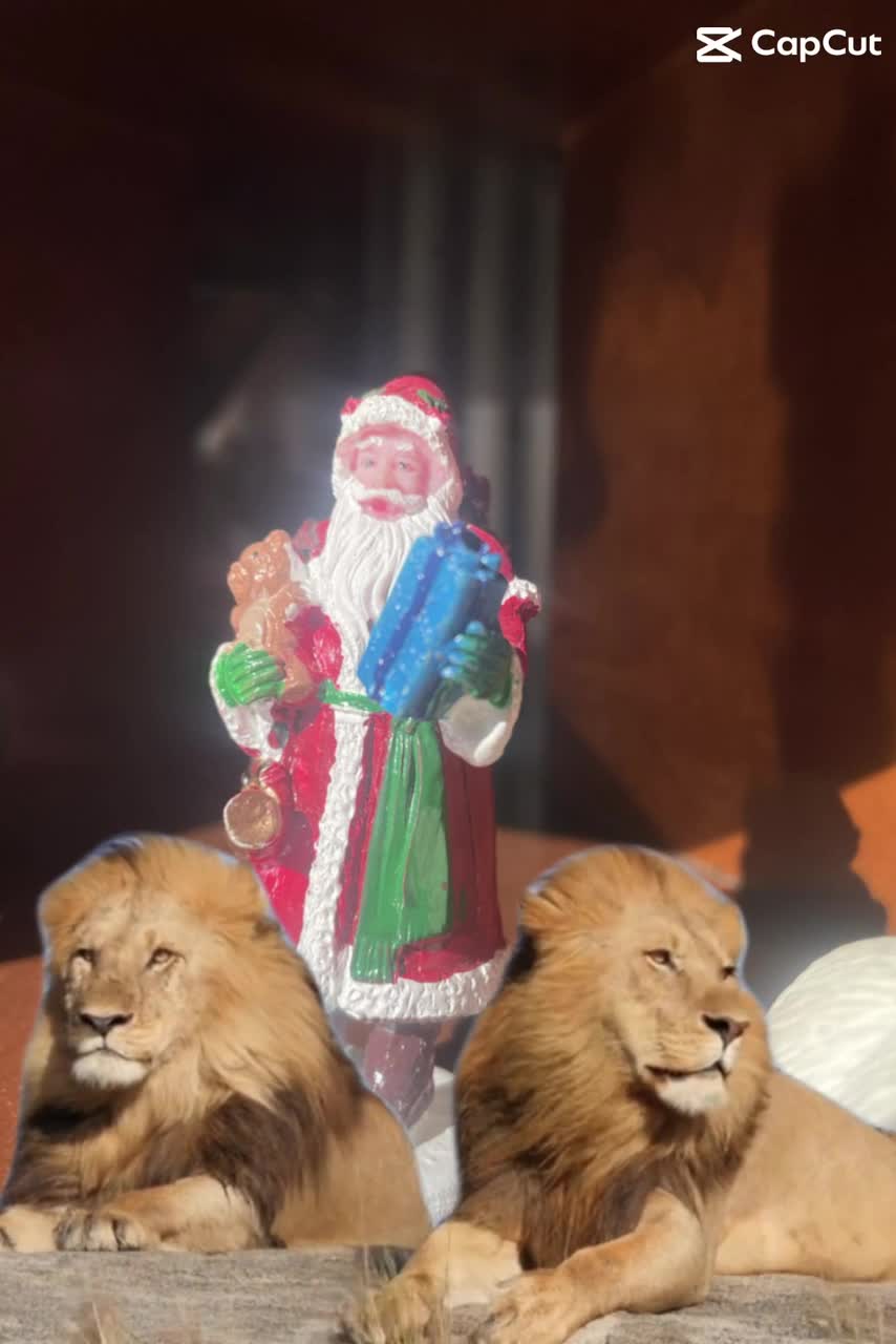 Still #5 From Video #198385