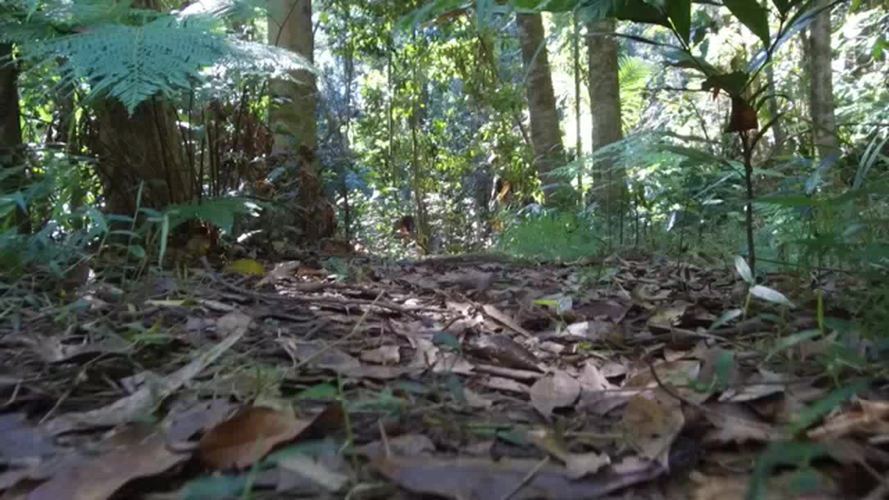 Still #1 From Video #16204