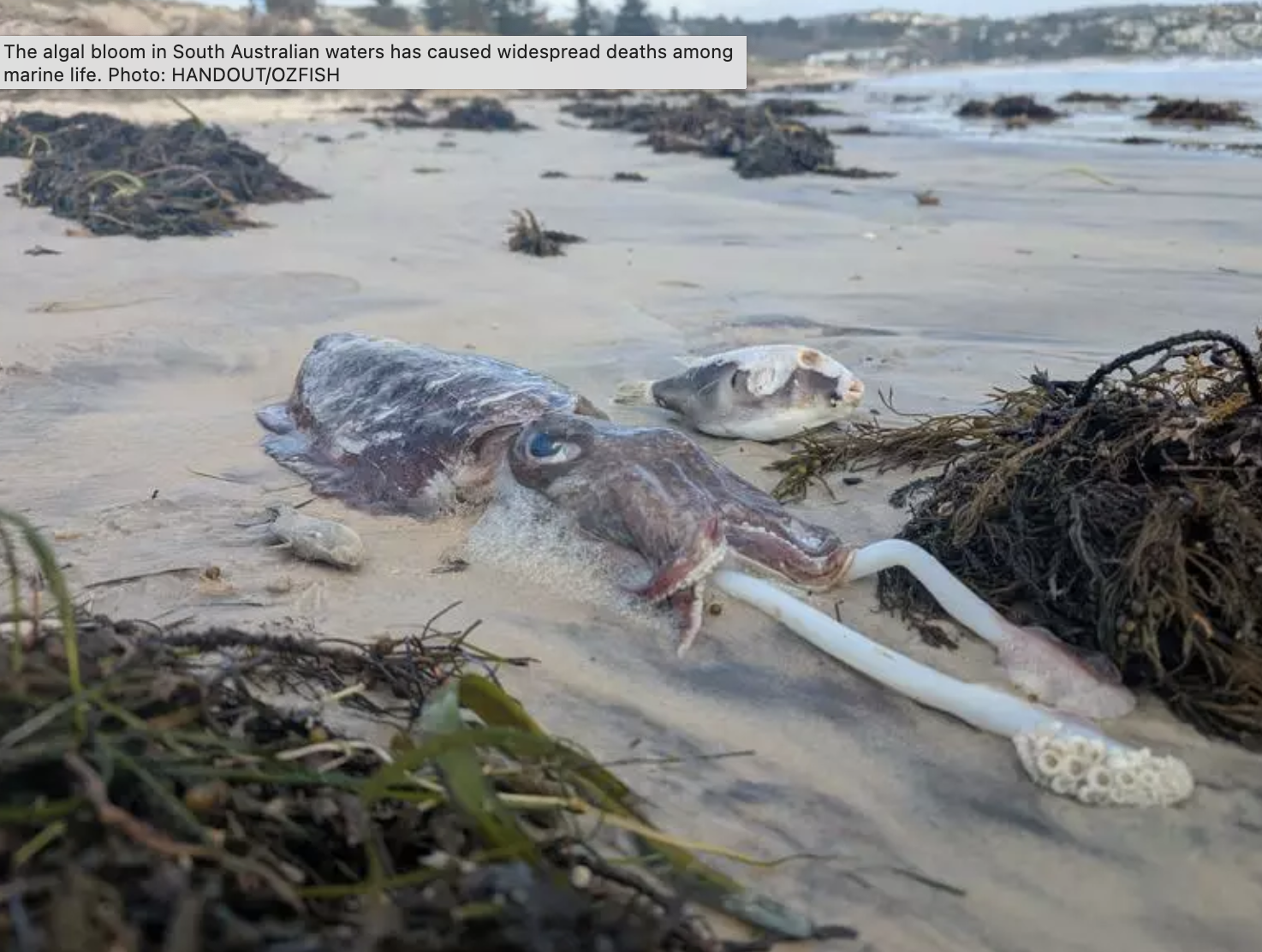 Screenshot 2025-10-03 at 8.26.30 PM