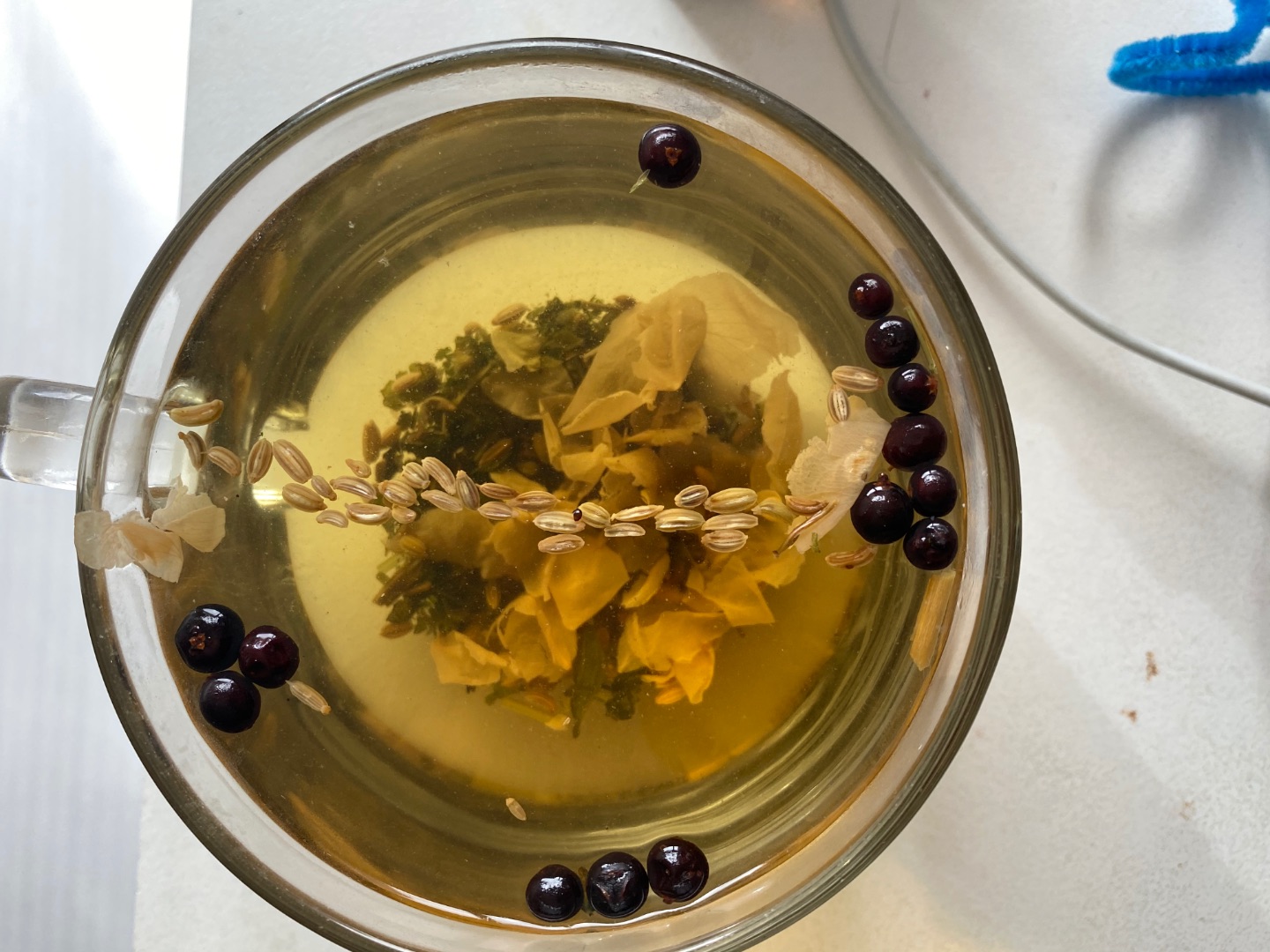 1FD377E2-A55C-4BE2-AC3D-9283E102EF59