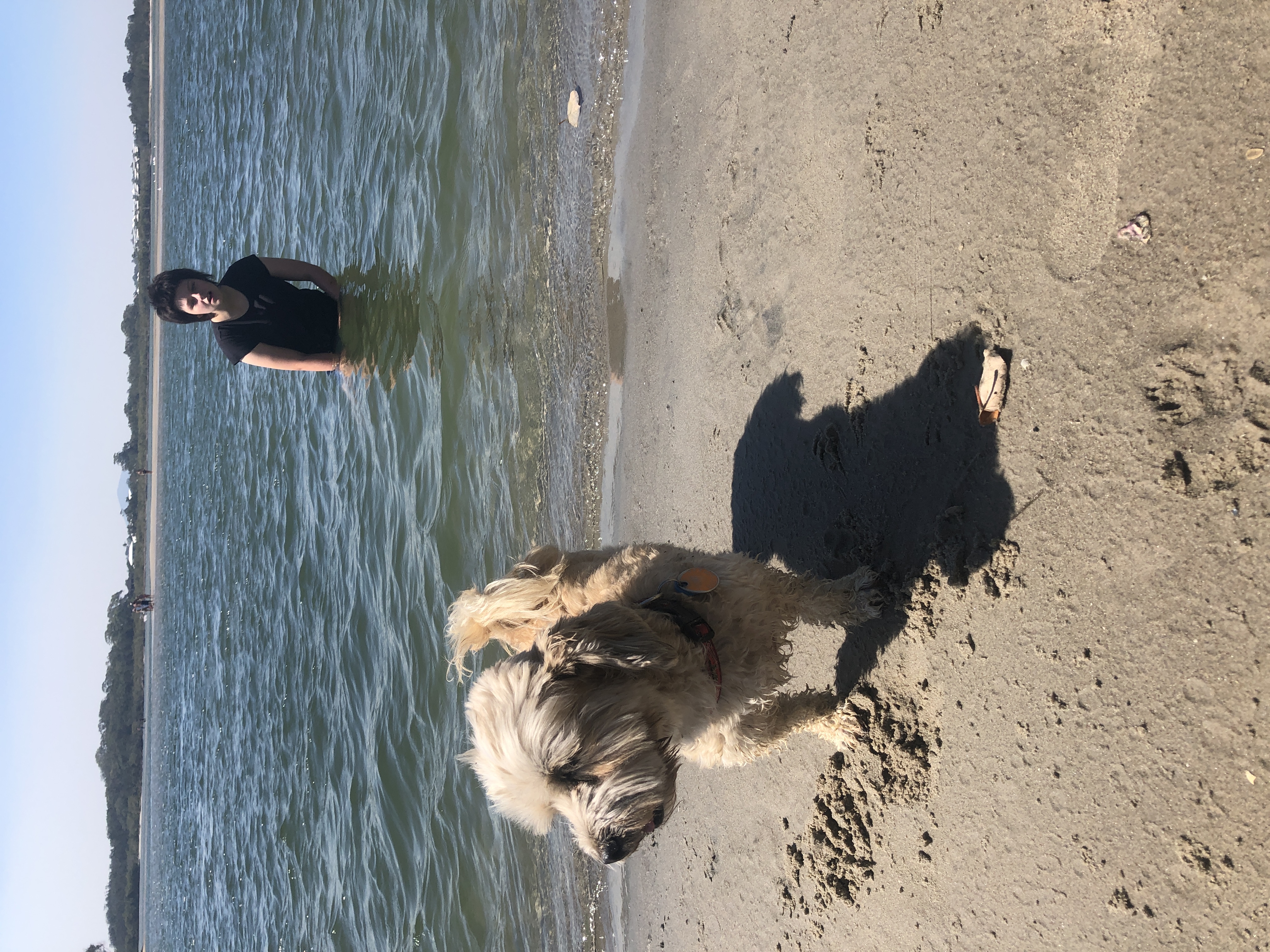 708C117F-6B4D-4AEA-A904-96021E31CD17